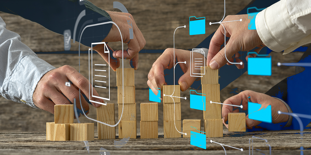Software Supply Chain Risk Management